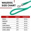 Rolled Leather Dog Leash 4Ft * 0.4 in for Small Medium and Large Dogs Heavy Duty Leather Puppy Leash for Outdoor Walking Running Training Mint Color